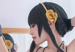 追寻快乐足迹：花リリ(Plant Lily)图库与露西幽默资源的双重奏